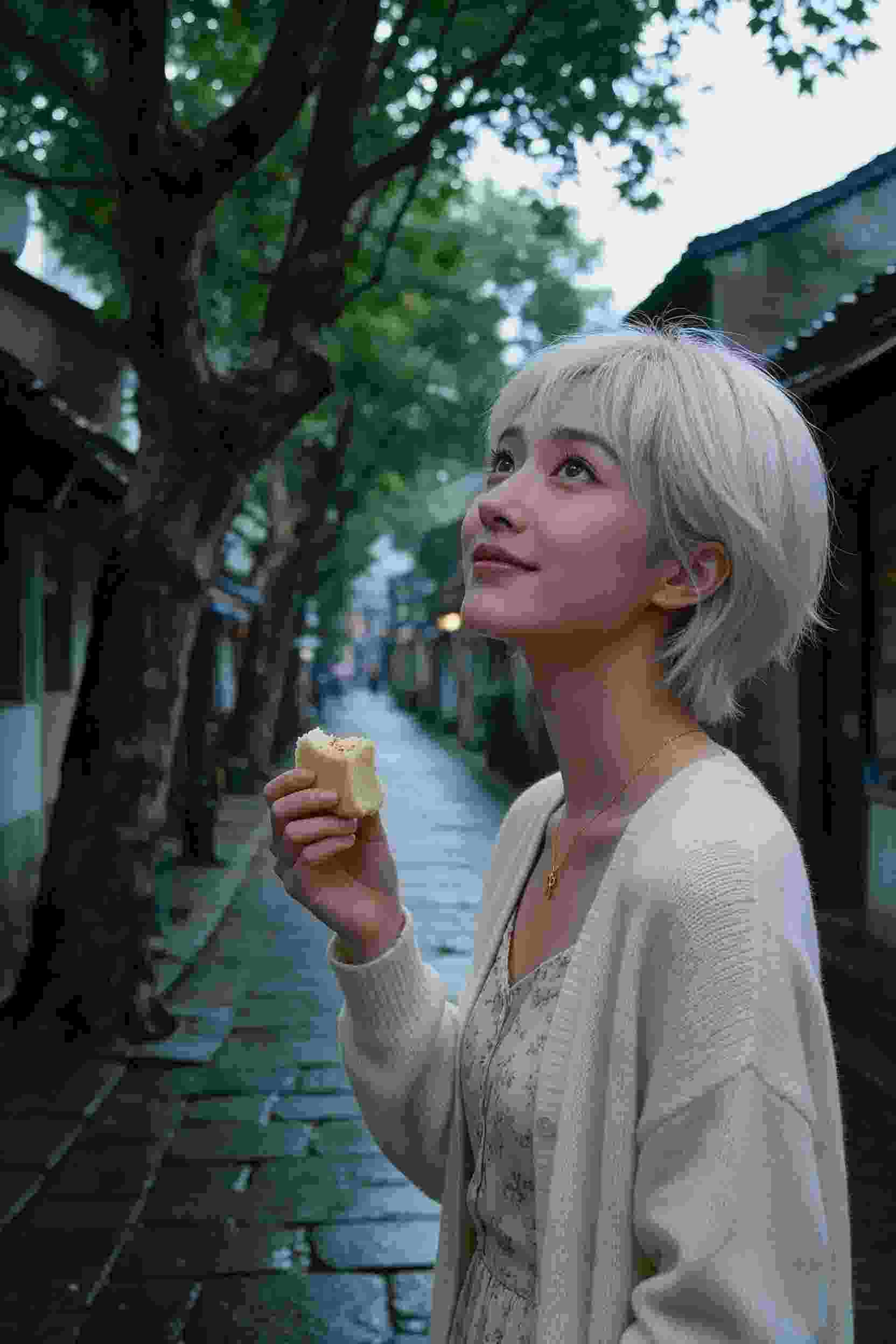 圣斗士星矢
